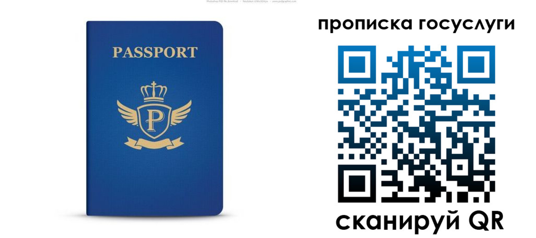 прописка для школы в Городце